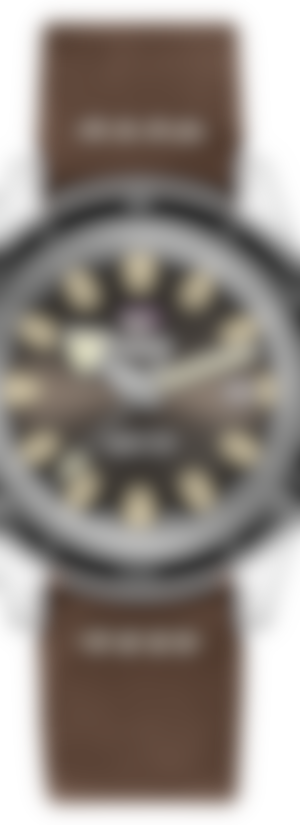 Captain Cook Automatic